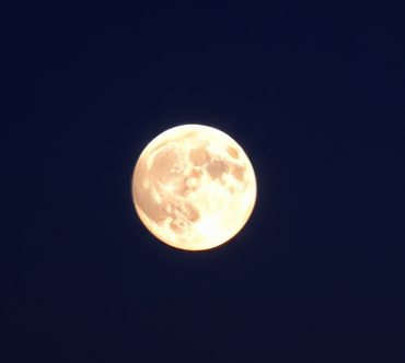 A bright full moon centered against a dark night sky, with its craters and surface details clearly visible.